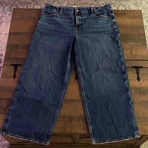 AE Stretch Curvy High Waisted Stovepipe Jean 16 Short